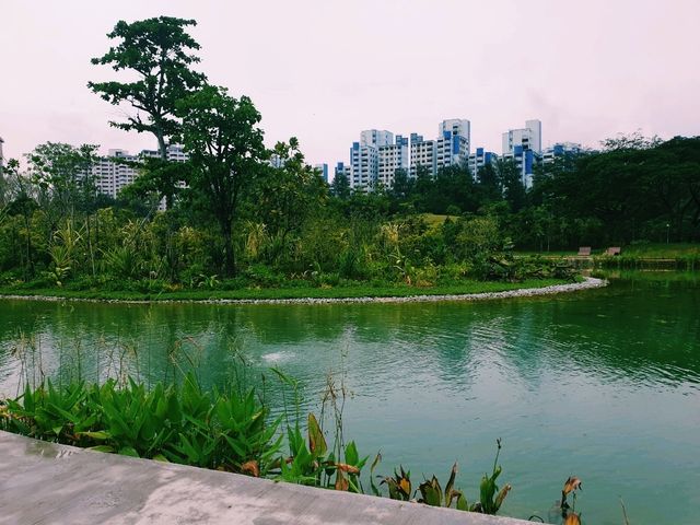 Jurong Lake Gardens: Singapore’s Hidden Green Gem!