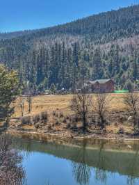 A Peaceful Escape into Nature: Discovering the Beauty of Potatso National Park (普达措国家公园)