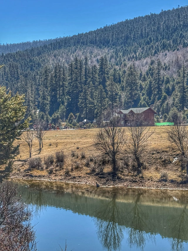 A Peaceful Escape into Nature: Discovering the Beauty of Potatso National Park (普达措国家公园)