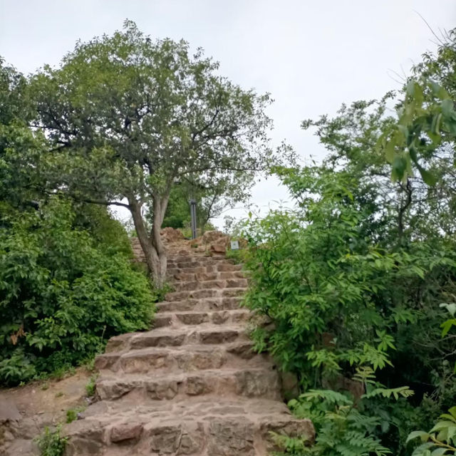 ～永春崗公園～綠意如織～