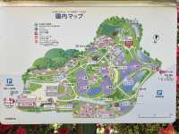 【あしかがフラワーパーク】ここまでとは！感動です