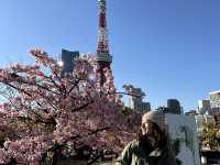 東京近郊｜清澄白河 × 芝公園｜遇見日常的光影溫度，一場靜靜流動的感動旅程