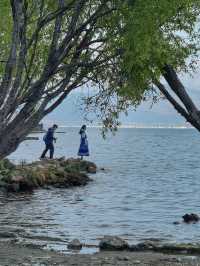 The Perfect Curve: A Springtime Pause at Dali’s Scenic S湾