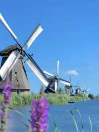 🇳🇱네덜란드 풍차 마을 | 잔세스칸스(Zaanse Schans) 당일치기 여행