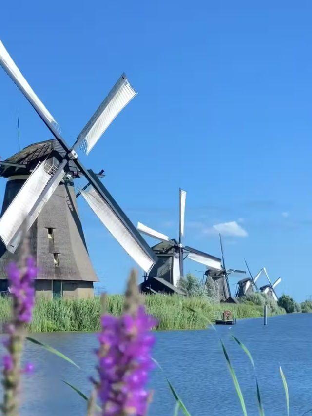🇳🇱네덜란드 풍차 마을 | 잔세스칸스(Zaanse Schans) 당일치기 여행