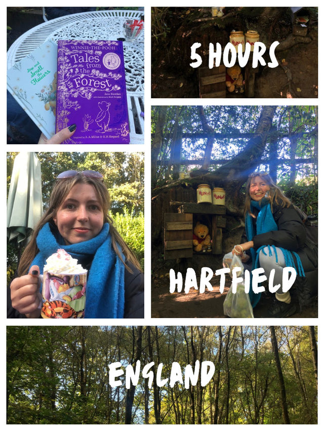 Visit Winnie the Pooh Park, Hartfield 🏴󠁧󠁢󠁥󠁮󠁧󠁿