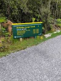 🇳🇿鈕西蘭 西海岸 Hokitika：海邊、森林、樹頂、藍河