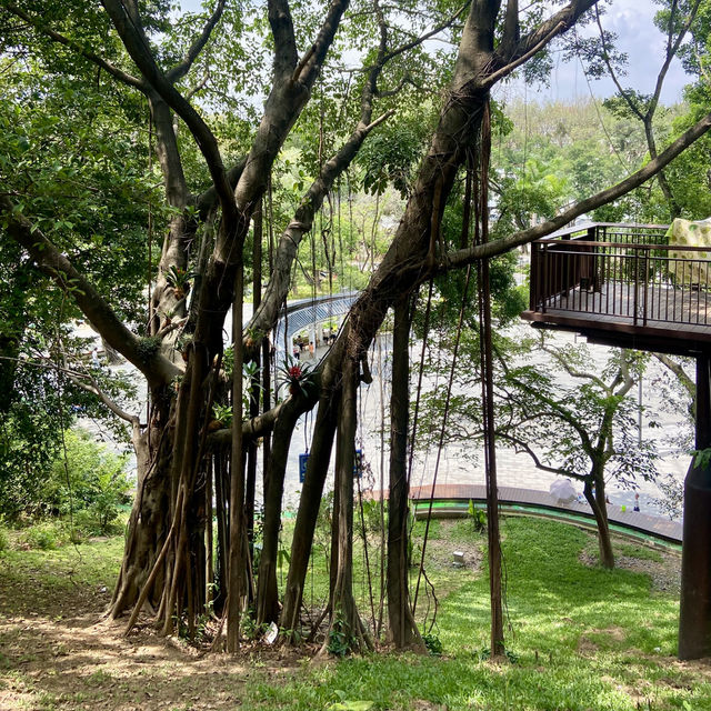探秘歷史建築與城市風光之美✨深圳龍華大浪日遊⛪️🌴🌊 🛍️