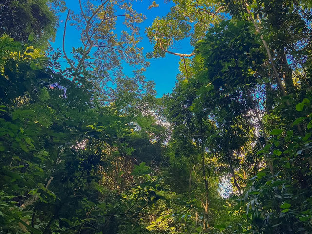 Quảng Trị