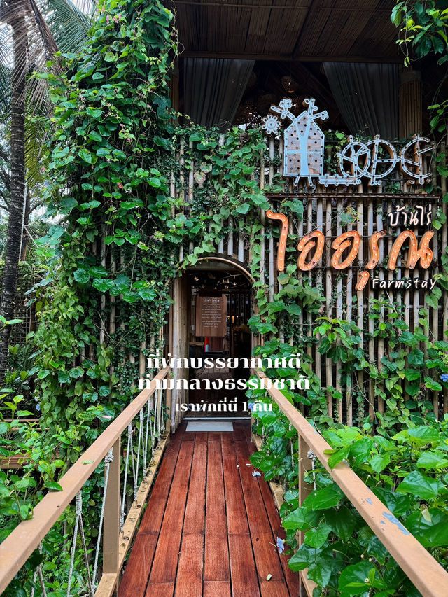 รีวิวที่พักบ้านไร่ไออรุณ จังหวัดระนอง