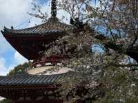 This spot is straight-up charming during cherry blossom season