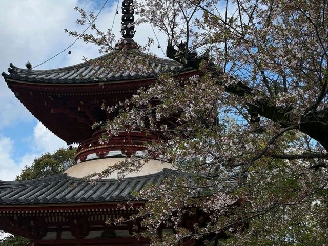 This spot is straight-up charming during cherry blossom season