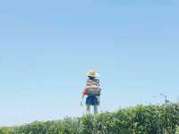 모든 순간이 초록 🌱순천만국가정원