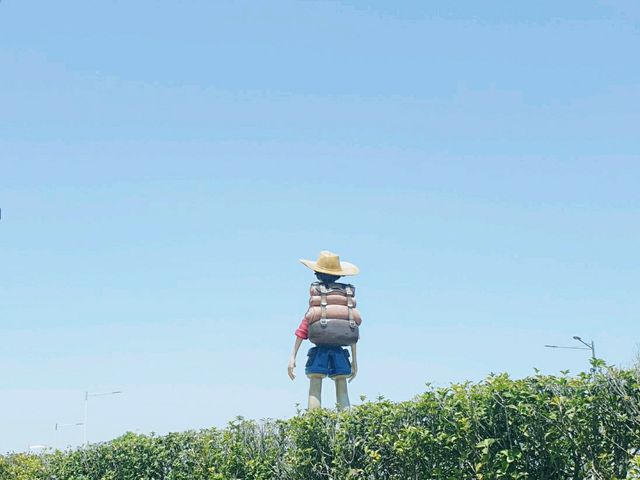 모든 순간이 초록 🌱순천만국가정원