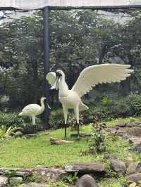 香港動植物公園｜自然與動物的融合