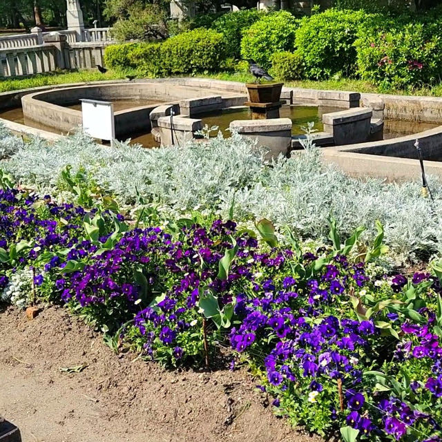Springtime Serenity at Tsuruma Park, Nagoya