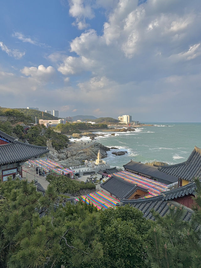 부산 기장에서 꼭 가봐야할 바다 앞 사찰 해동용궁사🫶