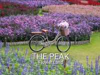 The peak flower land
