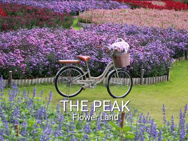 The peak flower land