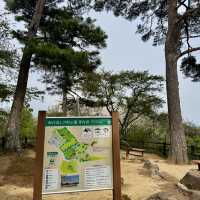 絶対に行って欲しい仙台3日間の旅行体験！