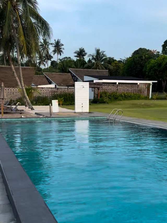 Where Love Meets the Ocean – Sadi Beach Bliss