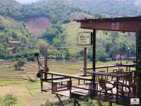 เว-นิส บ้านเวร