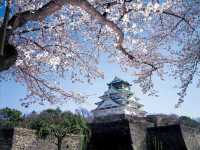 Osaka After Dark – Street Food, Skylines & Soul