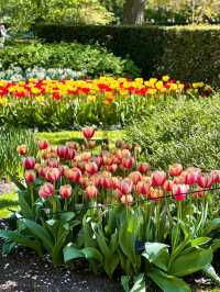 The Best Season in Amsterdam is Here! 🌷🇳🇱