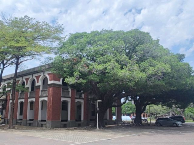 #國立成功大學-台南市東區