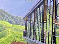 Art of Tea: Behind the Scenes at Malaysia’s Most Iconic Plantation