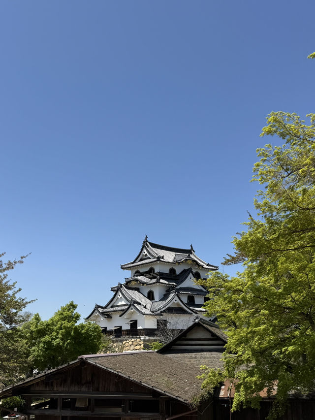 3 Days in Hikone