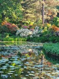 Tatton Park: A Grand Estate Full of Unexpected Magic