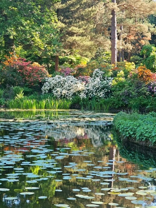 Tatton Park: A Grand Estate Full of Unexpected Magic