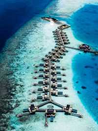 🌴 Angsana Velavaru Maldives: A Vibrant Escape into Barefoot Luxury
