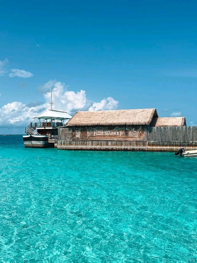 🌴 Cocoon Maldives: Where Italian Elegance Meets Island Bliss 🌊