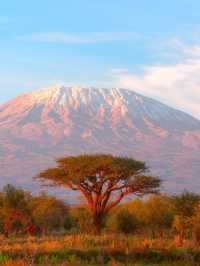 Mount Kilimanjaro – Tanzania