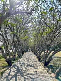 น่าน 1 วัน – เมืองเล็กที่มีหัวใจใหญ่…