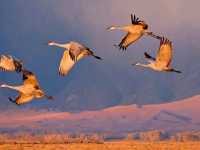 Climb the Dunes, Touch the Sky – Hiking at Great Sand Dunes
