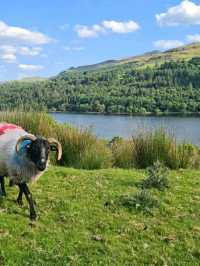 Glencar Waterfall – A Hidden Gem in County Leitrim