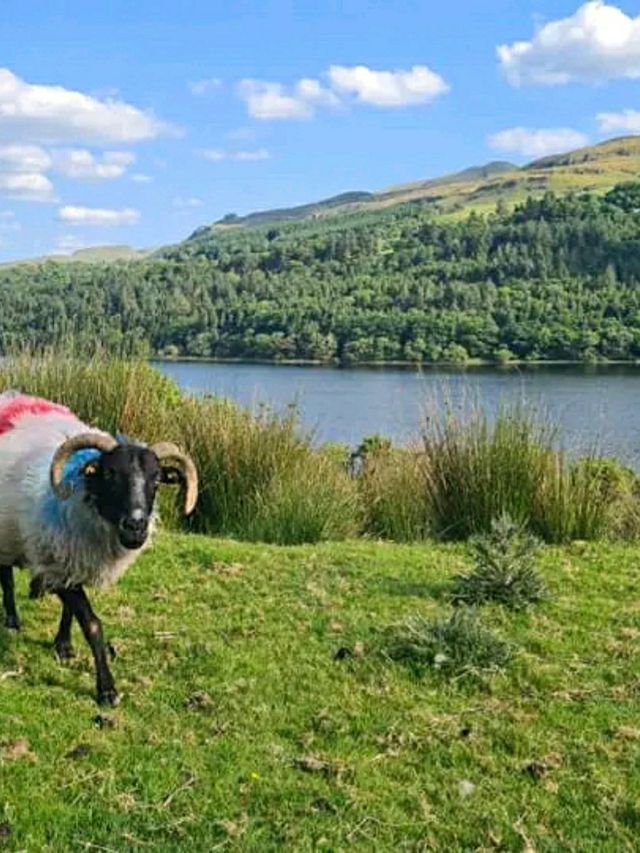 Glencar Waterfall – A Hidden Gem in County Leitrim