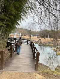 Juknokwon – Bamboo Serenity in Damyang