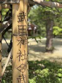 歴史もグルメも満喫！武田神社→甲州夢小路→蒙古タンメンランチ