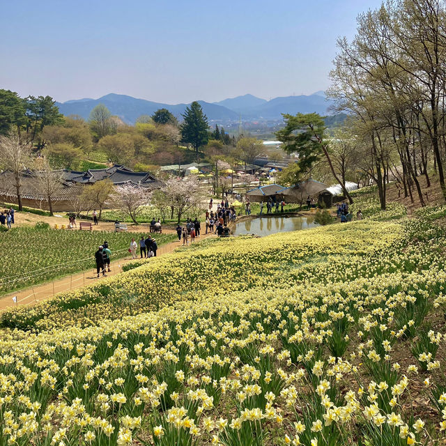 당진 - 서산 1박 2일 코스 💛