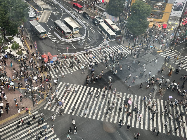 Shibuya – A Lively Mix of Anime, Culture, and City Life