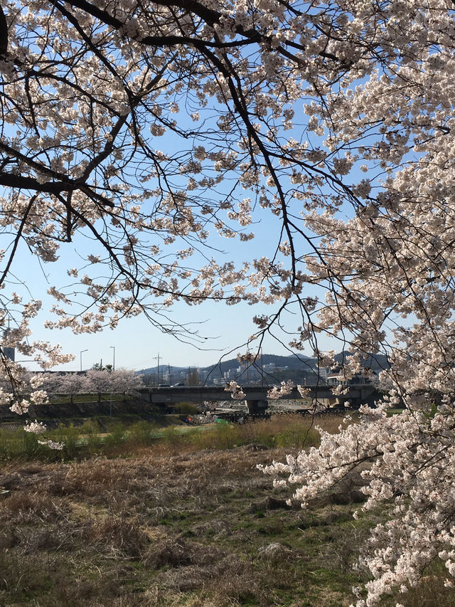 청주 네이처펜션 😎