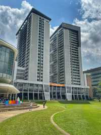 Brains and Beauty: A Scenic Stroll Through NUS