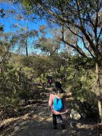 Prince Henry Cliff Walk at Blue Mountain, Sydney
