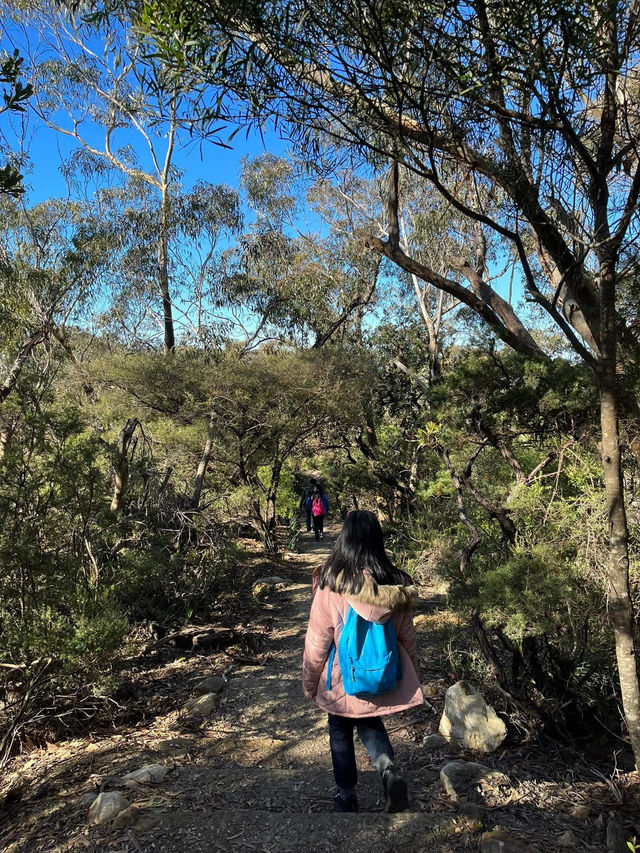 Prince Henry Cliff Walk at Blue Mountain, Sydney