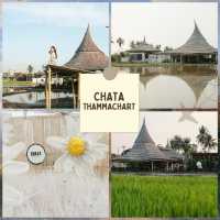 มัดรวม 5 คาเฟ่นครปฐม บรรยากาศดี ริมแม่น้ำ-สวนสวย