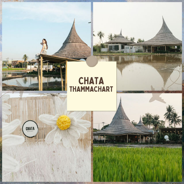 มัดรวม 5 คาเฟ่นครปฐม บรรยากาศดี ริมแม่น้ำ-สวนสวย